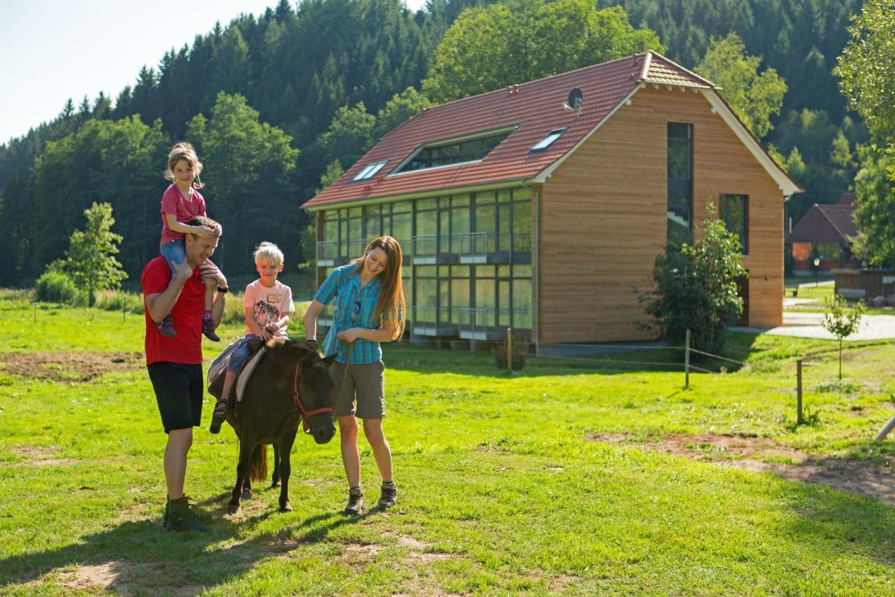 Landhotel Weihermuehle Thaleischweiler-Froschen Exterior photo